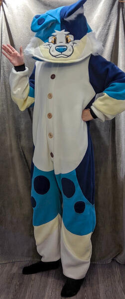 Sodalite the Border Collie